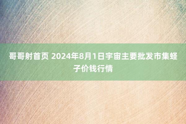 哥哥射首页 2024年8月1日宇宙主要批发市集蛏子价钱行情