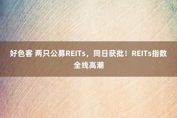 好色客 两只公募REITs，同日获批！REITs指数全线高潮