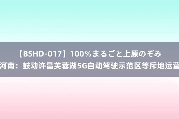 【BSHD-017】100％まるごと上原のぞみ 河南：鼓动许昌芙蓉湖5G自动驾驶示范区等斥地运营