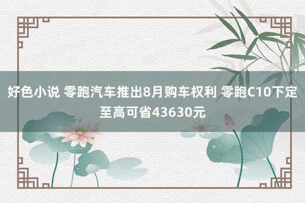 好色小说 零跑汽车推出8月购车权利 零跑C10下定至高可省43630元