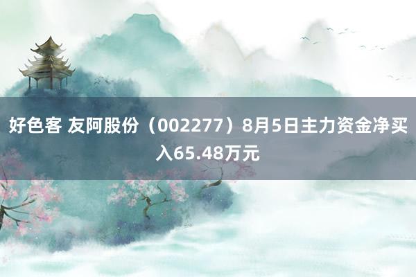 好色客 友阿股份（002277）8月5日主力资金净买入65.48万元