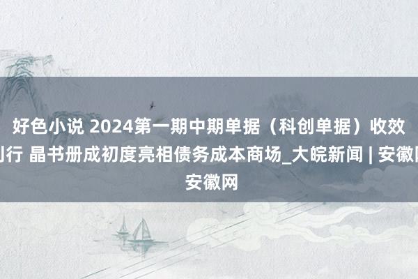 好色小说 2024第一期中期单据（科创单据）收效刊行 晶书册成初度亮相债务成本商场_大皖新闻 | 安徽网