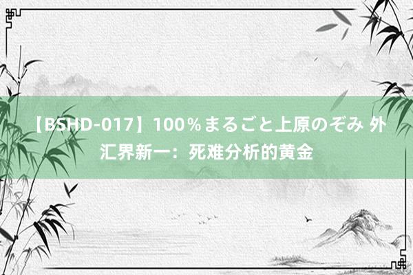 【BSHD-017】100％まるごと上原のぞみ 外汇界新一：死难分析的黄金