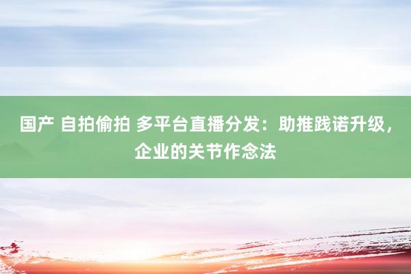 国产 自拍偷拍 多平台直播分发：助推践诺升级，企业的关节作念法