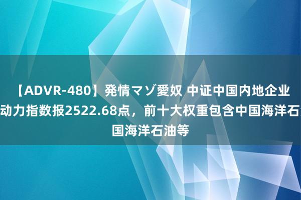 【ADVR-480】発情マゾ愛奴 中证中国内地企业500动力指数报2522.68点，前十大权重包含中国海洋石油等