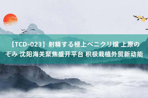 【TCD-023】射精する極上ペニクリ嬢 上原のぞみ 沈阳海关聚焦盛开平台 积极栽植外贸新动能