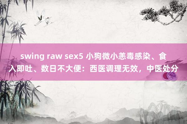 swing raw sex5 小狗微小恙毒感染、食入即吐、数日不大便：西医调理无效，中医处分