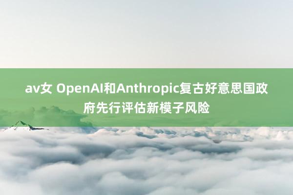 av女 OpenAI和Anthropic复古好意思国政府先行评估新模子风险