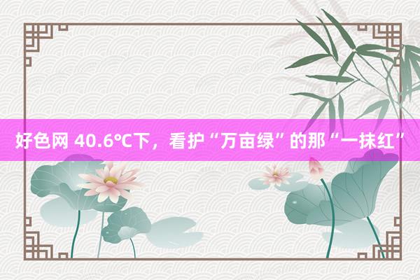 好色网 40.6℃下，看护“万亩绿”的那“一抹红”