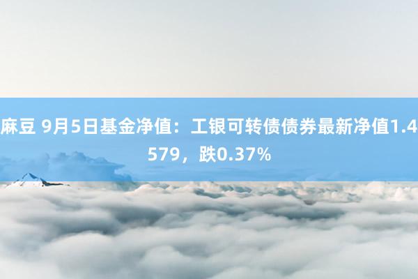 麻豆 9月5日基金净值：工银可转债债券最新净值1.4579，跌0.37%