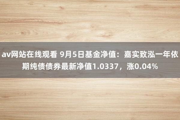 av网站在线观看 9月5日基金净值：嘉实致泓一年依期纯债债券最新净值1.0337，涨0.04%