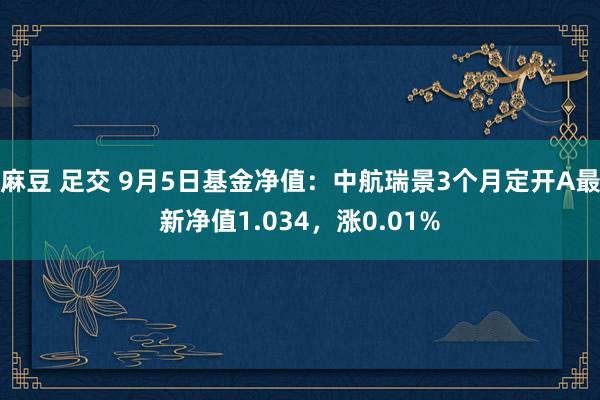 麻豆 足交 9月5日基金净值：中航瑞景3个月定开A最新净值1.034，涨0.01%