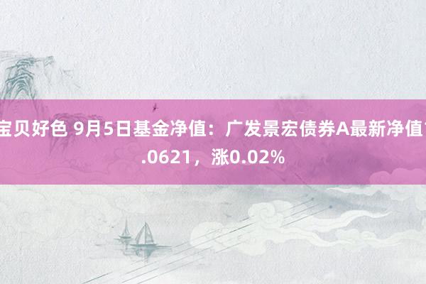 宝贝好色 9月5日基金净值：广发景宏债券A最新净值1.0621，涨0.02%