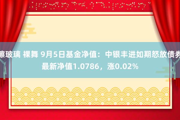 擦玻璃 裸舞 9月5日基金净值：中银丰进如期怒放债券最新净值1.0786，涨0.02%