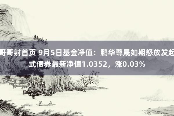 哥哥射首页 9月5日基金净值：鹏华尊晟如期怒放发起式债券最新净值1.0352，涨0.03%