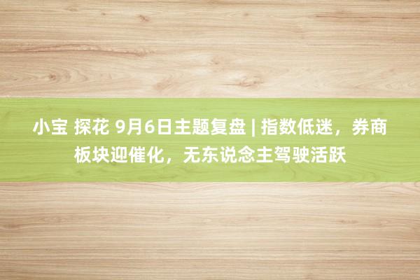 小宝 探花 9月6日主题复盘 | 指数低迷，券商板块迎催化，无东说念主驾驶活跃