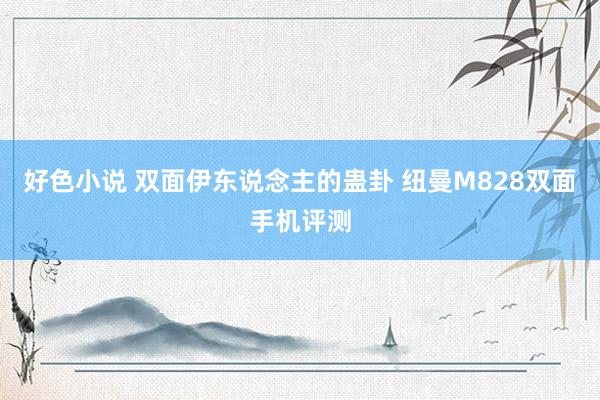 好色小说 双面伊东说念主的蛊卦 纽曼M828双面手机评测