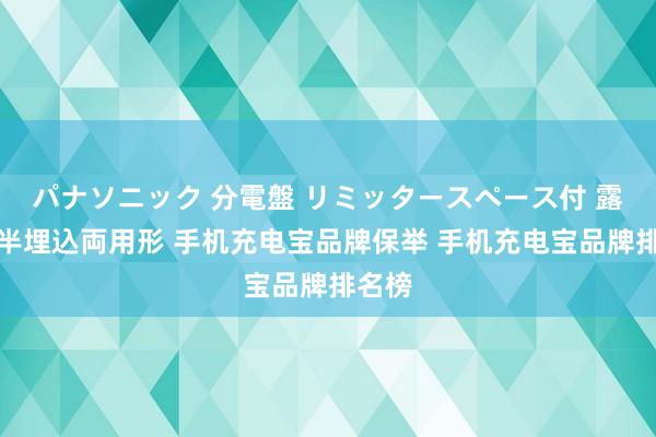 パナソニック 分電盤 リミッタースペース付 露出・半埋込両用形 手机充电宝品牌保举 手机充电宝品牌排名榜