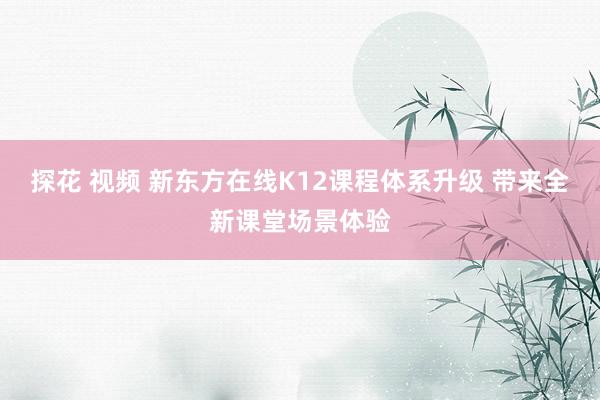 探花 视频 新东方在线K12课程体系升级 带来全新课堂场景体验